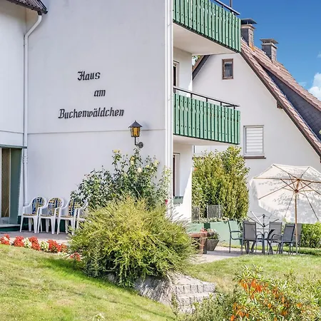 Geraeumiges Am Waldrand Im Sauerland アパート