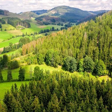 Geraeumiges Am Waldrand Im Sauerland