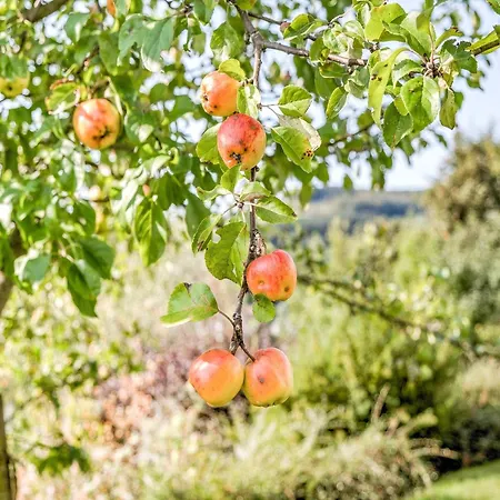Geraeumiges Am Waldrand Im Sauerland Medebach