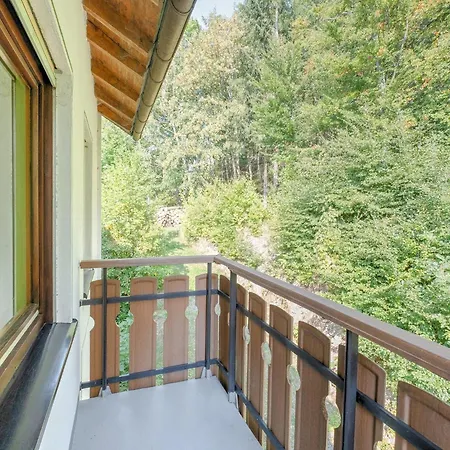 Apartment Geraeumiges Am Waldrand Im Sauerland Medebach