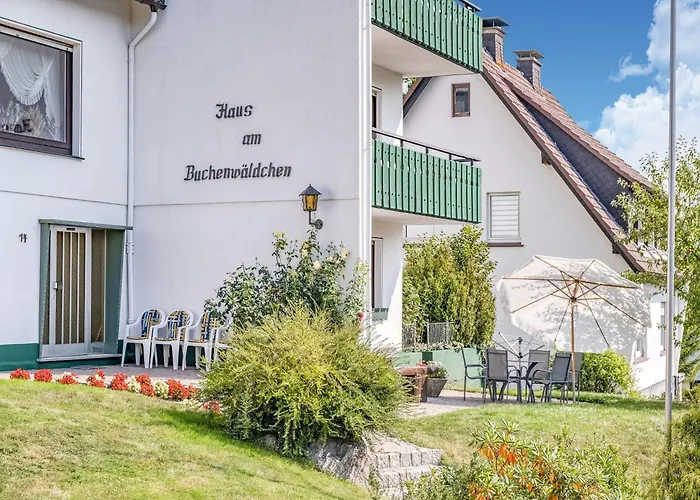 Geraeumiges Am Waldrand Im Sauerland アパート