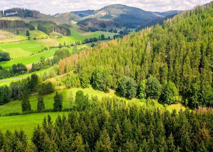Geraeumiges Am Waldrand Im Sauerland